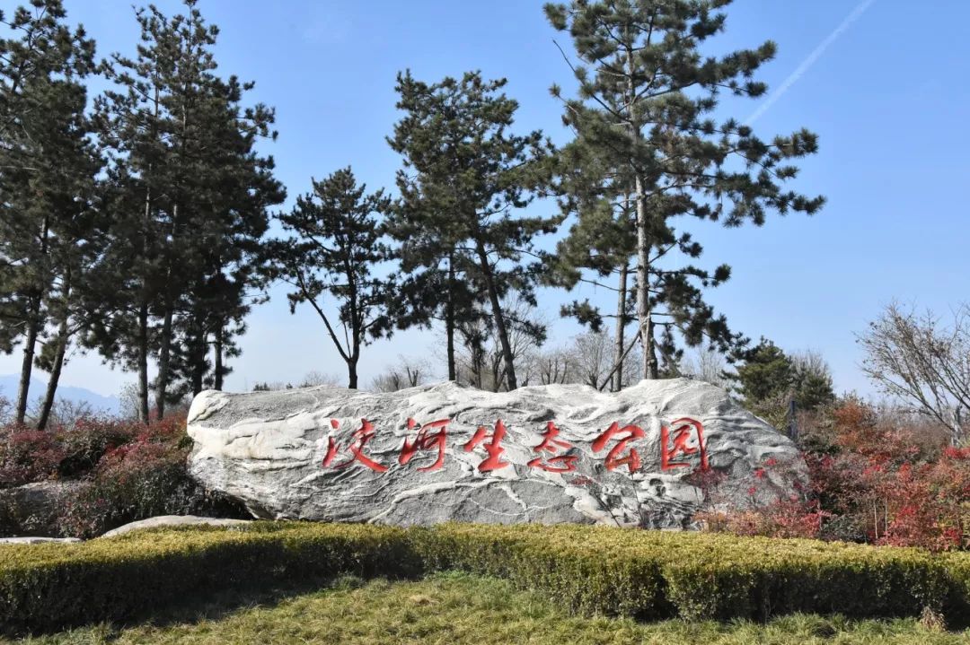 除了清澈的的河水,郁郁葱葱的草木,绵延不绝的花海,洨河生态公园还建