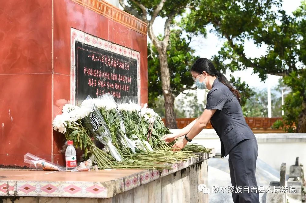 能力提升建设年缅怀革命先烈追忆革命历史陵水法院组织干警至彭谷园