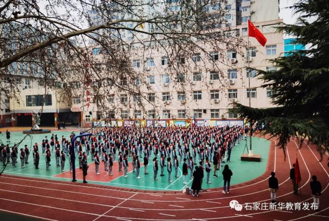 合作路小学柏林庄学校自强小学石岗二校红鹰小学机场路小学西营学校