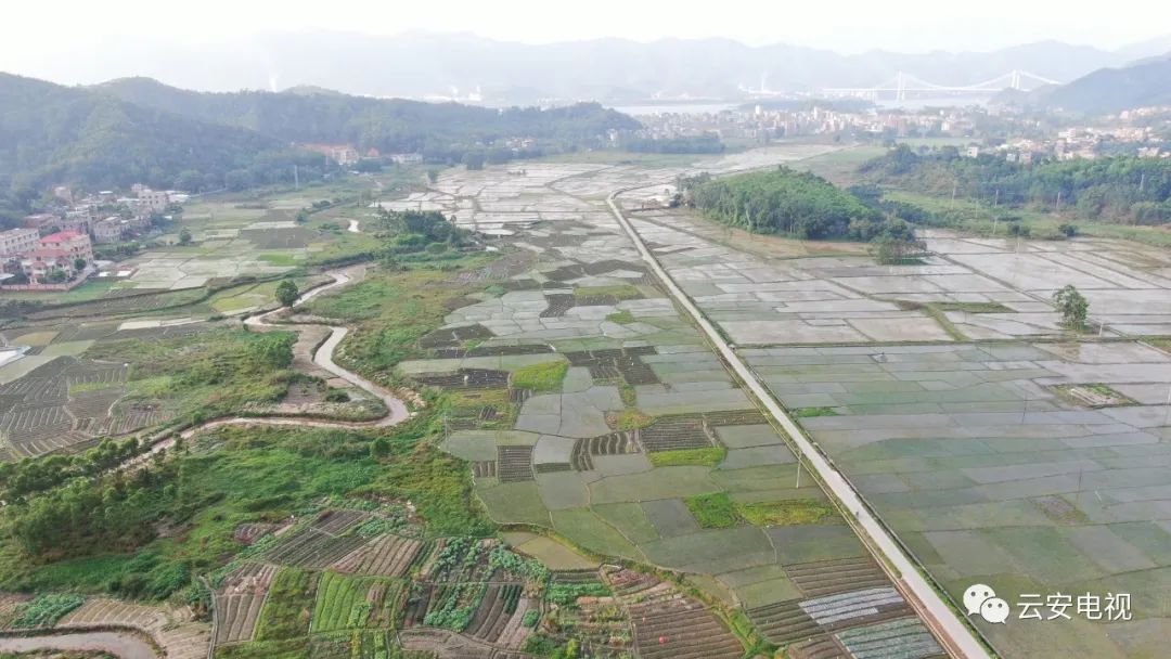 云安区都杨镇大洞水库除险加固工程基本完工
