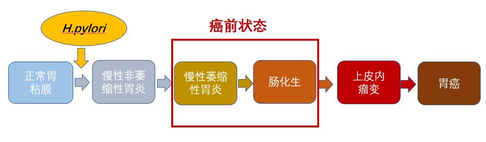 1,胃黏膜萎缩合并肠化生患者胃癌年发生率为0.25,因此