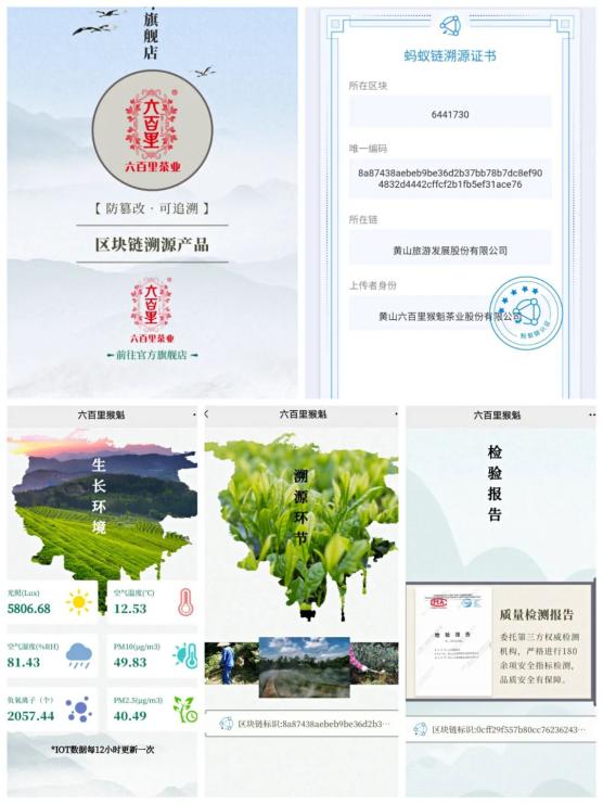 从茶园到茶杯黄山茶叶实现全链条溯源