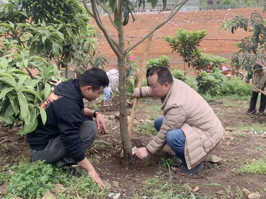 我的工位在黔山大地记省第十三次党代会代表杨芩