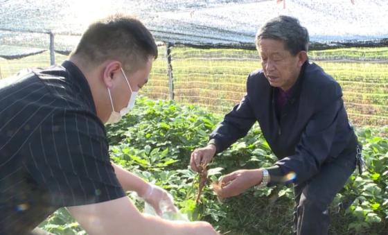 道德模范事迹展播九张学苏一心为民的好参医