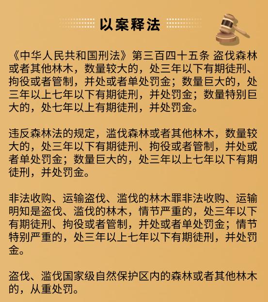 法院审理判决,被告十五人的行为分别构成盗伐林木罪,盗窃罪,掩饰,隐瞒