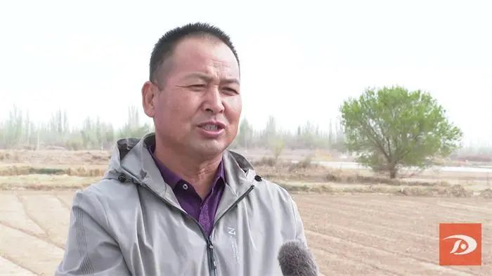 乡村振兴进行时硬核服务敦煌市三位一体数字平台为民惠民