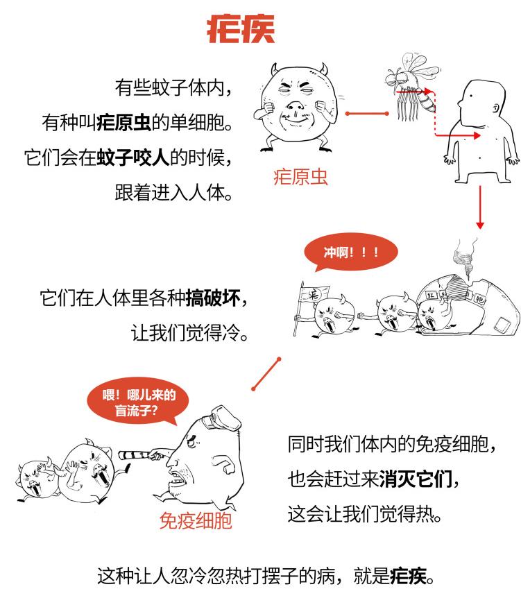 温疟 澎拜新闻