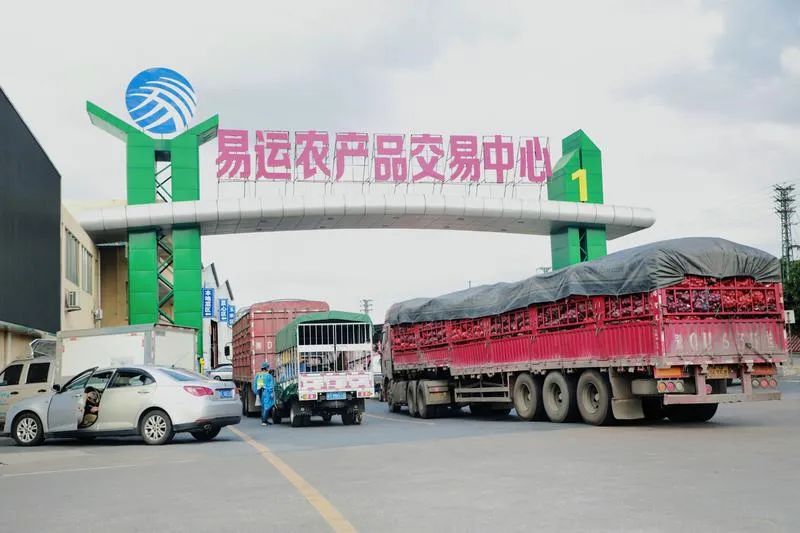 防疫经营两不误禅城区易运农产品交易中心按下恢复键