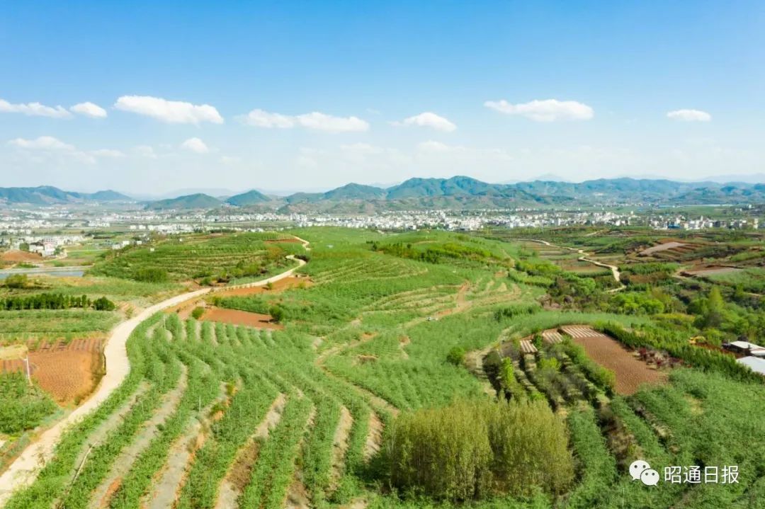 大美中国昭通乡村行77丨昭阳迤那村那一处山水绿意金光