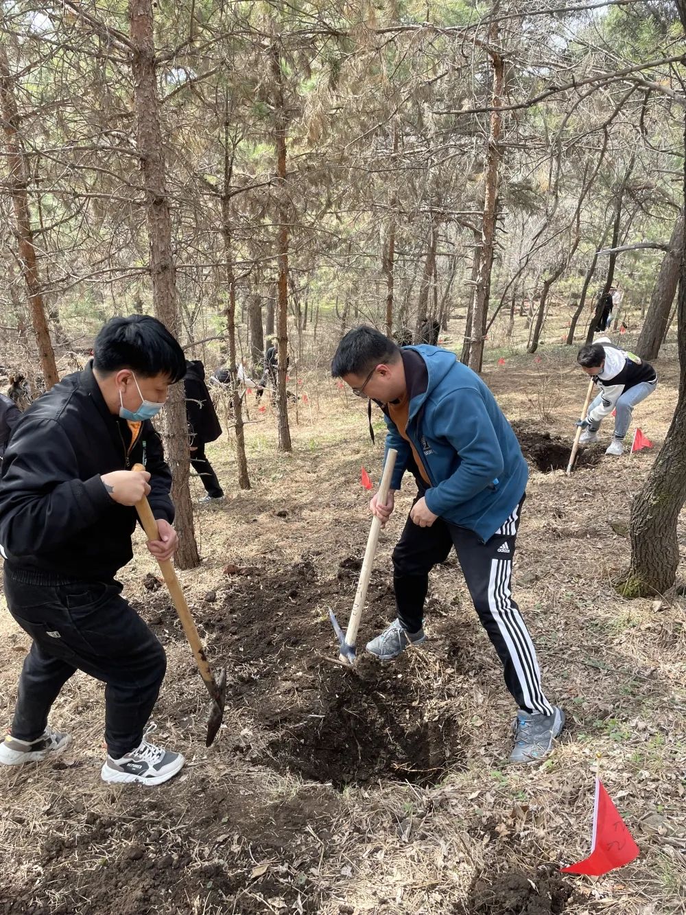 众人植树树成林,活动现场,党组成员发挥模范带头作用,率先挥锹铲土