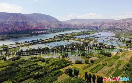 太极岛位于永靖县城向西3公里处,是黄河中上游最大的人工湿地,占地约