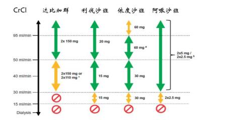 新型口服抗凝药(noac)利伐沙班,阿哌沙班,艾多沙班,达比加群等需根据