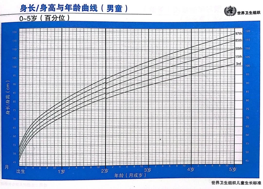 左右滑动查看更多 左:身高 中:体重 右:胖瘦简单说:判断男孩身高是否