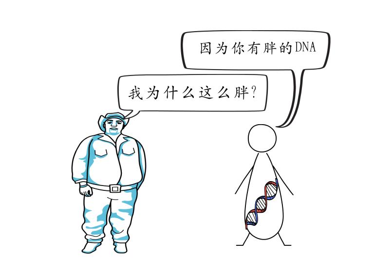 肉肉减不掉是因为你没有真正了解它