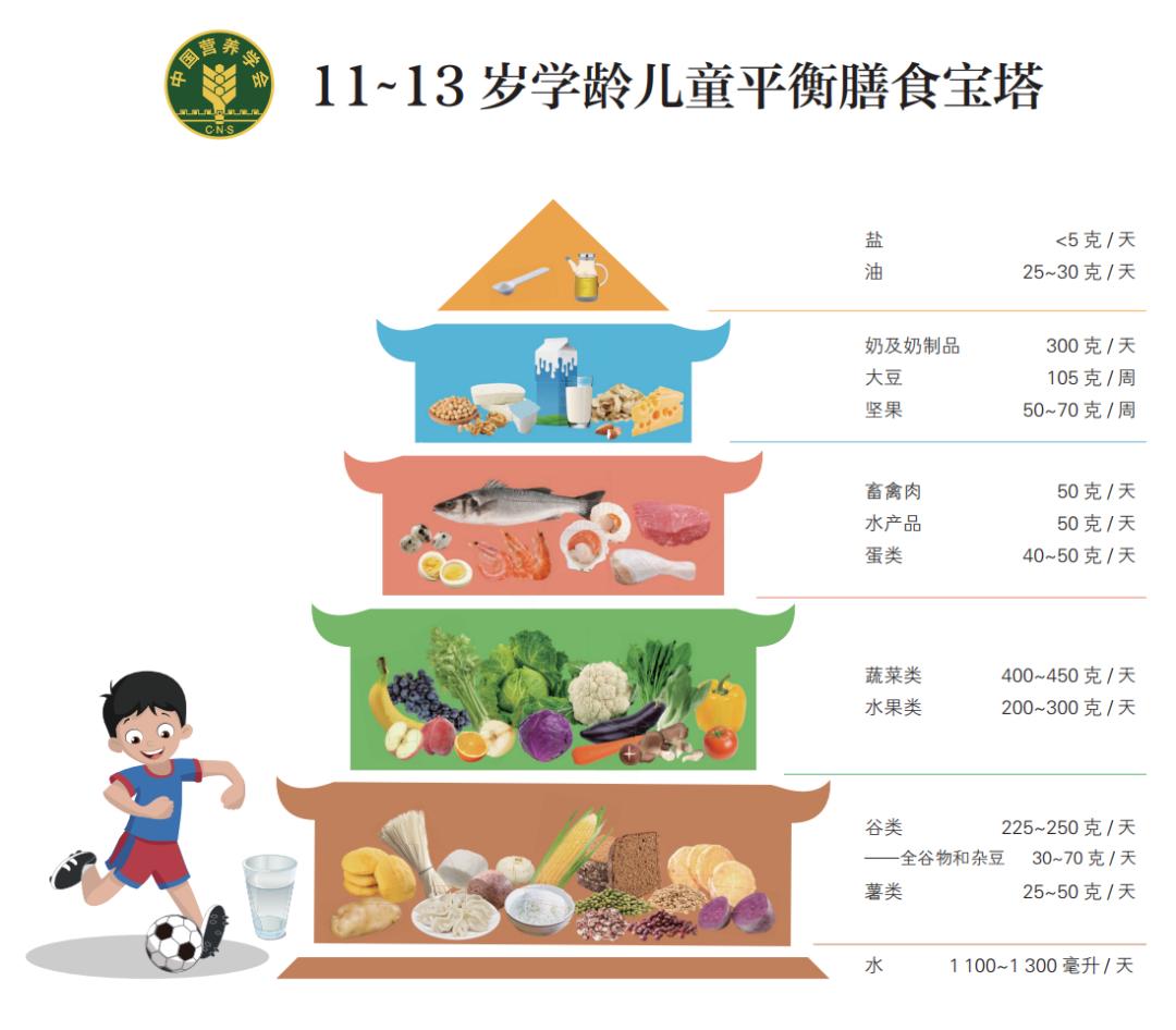 孩子怎么吃更健康最新版中国学龄儿童膳食指南2022发布