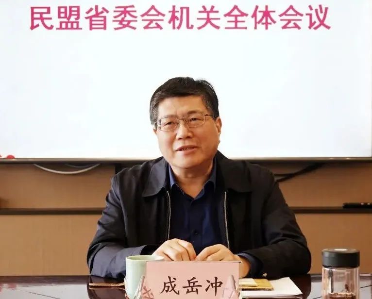 副省长,民盟省委会主委成岳冲出席会议并讲话,民盟省委会专职副主委