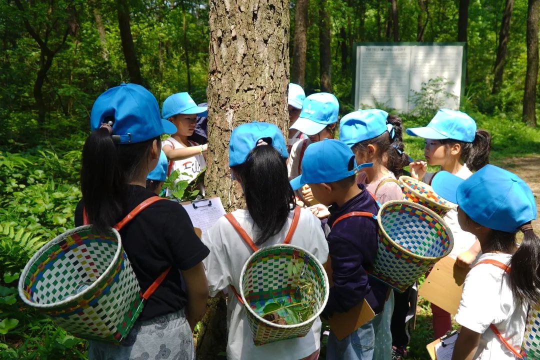 趣玩科学科普研学系列活动林间的小孩在径山镇圆满举办