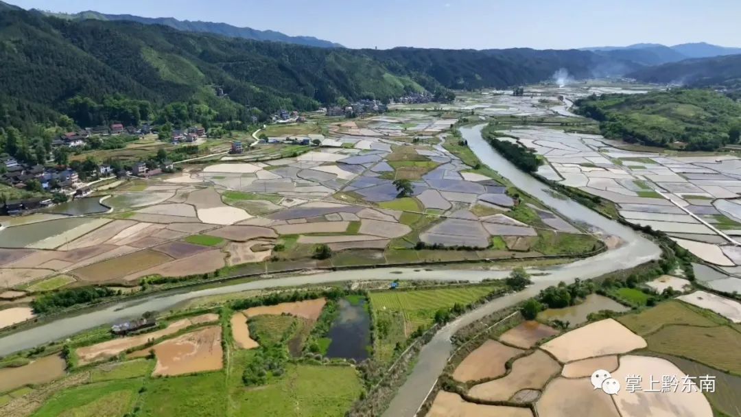 锦屏初夏时节田畴美景如画来