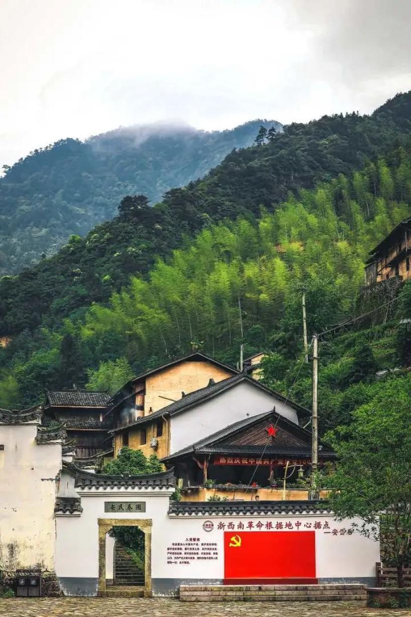 赏星河闪耀听花开声音夏天去松阳寻找儿时梦