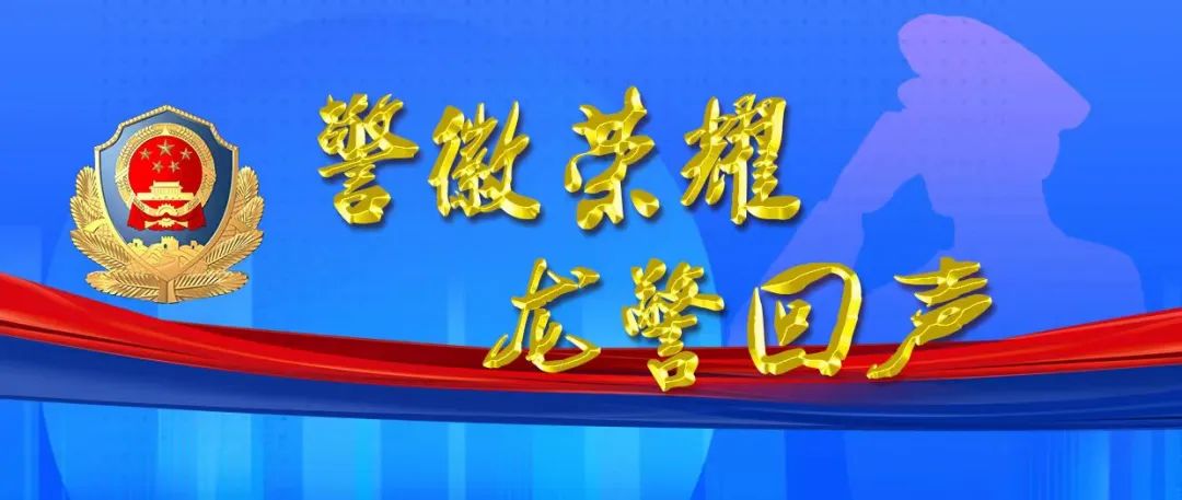 警徽荣耀龙警回声全国公安机关爱民模范马丹丹在履职尽责中铸丹心不负