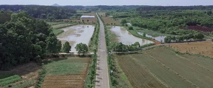 海洋村位于武汉市江夏区湖泗街,地处江夏,大冶交界之地,全村版图面积