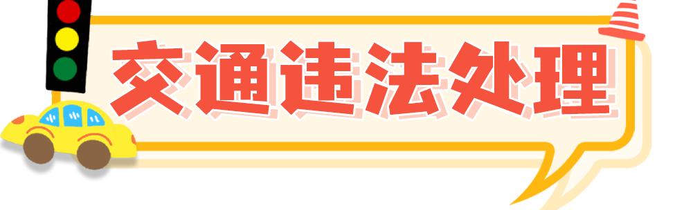 在知爱建交通违法处理罚单缴款滨州微警务一网通办