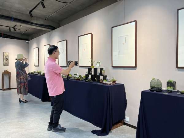 感受青绿雅境董震宇菖蒲艺术展在玉海美术馆开展