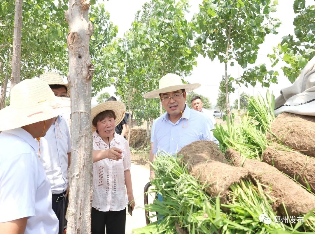 抢农时抓进度曹智调研夏种和水利工程建设情况