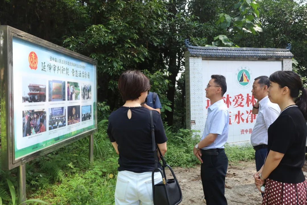 学英模勇担当谭春英有温度的学者型法官