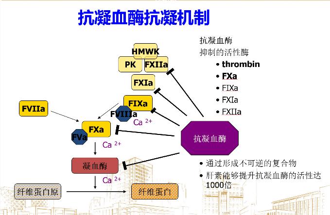 青春检验站血凝检测之抗凝血酶at