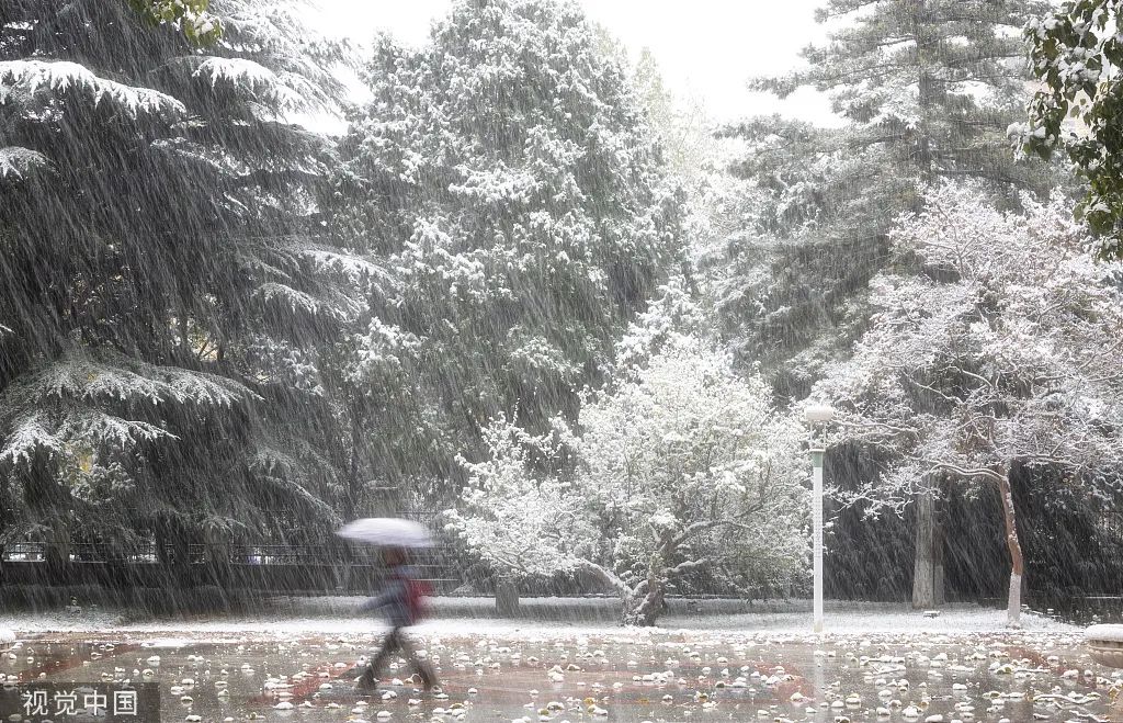 强降雪今天到！山东这些地区大到暴雪！全省猛烈降温！​中央气象台发布暴雪预警……