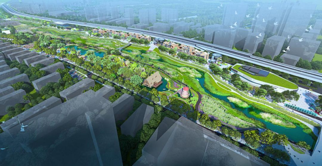 圭塘河井塘段海绵示范公园复工!将新增绵延2.3公里城市公园