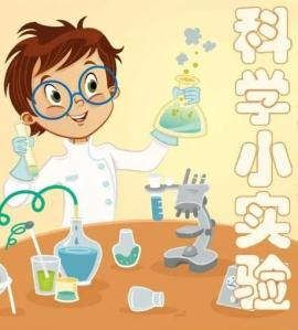 疫时公益科学小实验和爸妈一起边玩边学十一