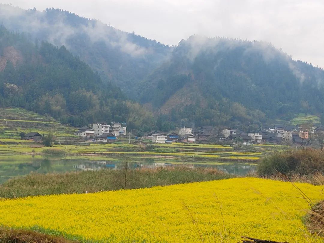 云赏春景邂逅多彩贵州最美春色