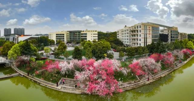 三峡大学官宣
