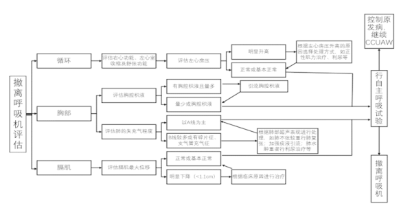 新冠肺炎机械通气患者脱机超声评估流程图