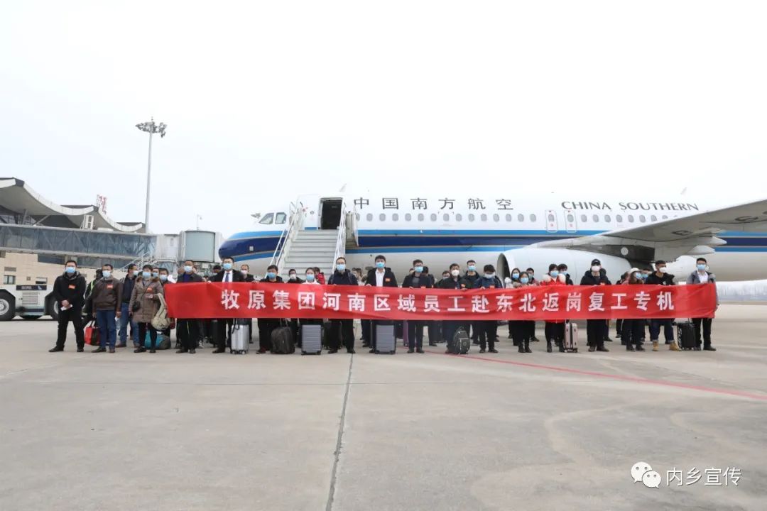 3月3日早6:30,内乡县高速路口排起了长队,140名内乡籍牧原公司员工