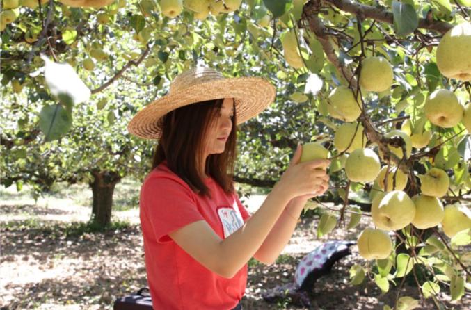 【巾帼风采】段旭旭:美女博士返梨乡,成为网红"新