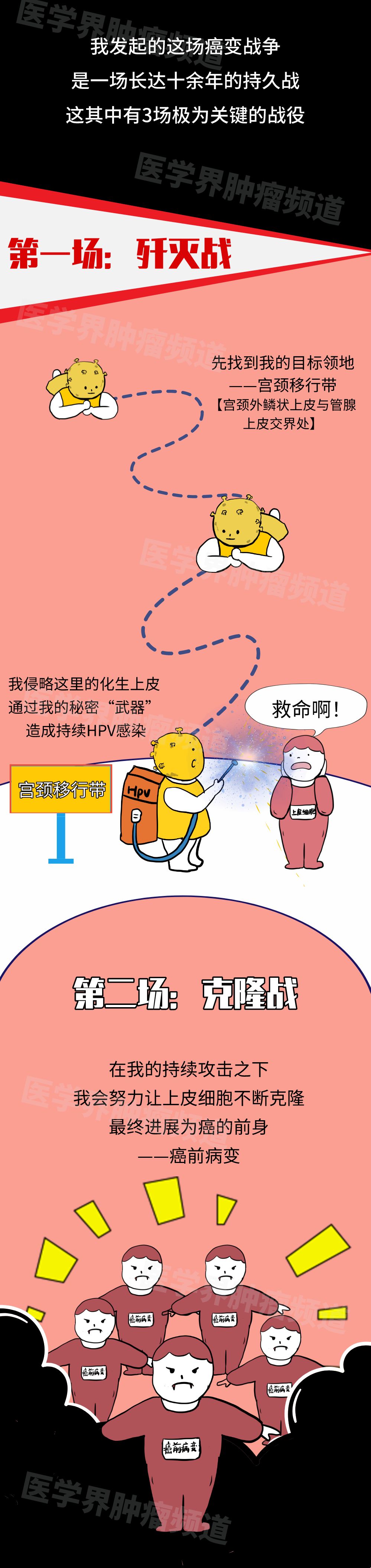 漫画hpv人体生活图鉴