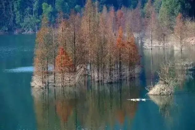 横锦水库风景秀丽,这里的妩媚青山,盈盈流水,每一处景色皆可入镜.