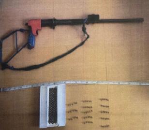 后经丽水市公安司法鉴定中心鉴定,该枪支是以火药为动力发射弹丸的