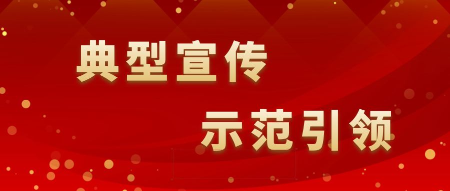 典型宣传示范引领九