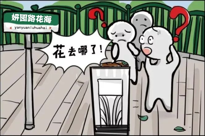 刚刚,我市花海"偷花者"主动承认错误!