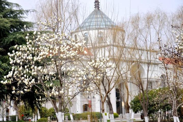 《春潭 罗伯特·弗罗斯特将使大地色浓 变成深树茂林树头紧闭的