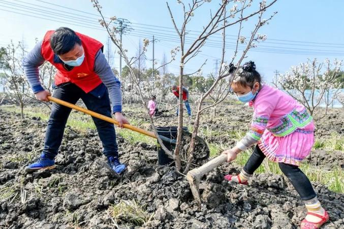 同植一片绿,共开团结花——长兴县少数民族儿童参加植树节活动