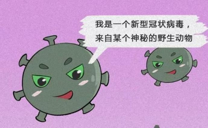 科学放大镜 | 新型冠状病毒的一天