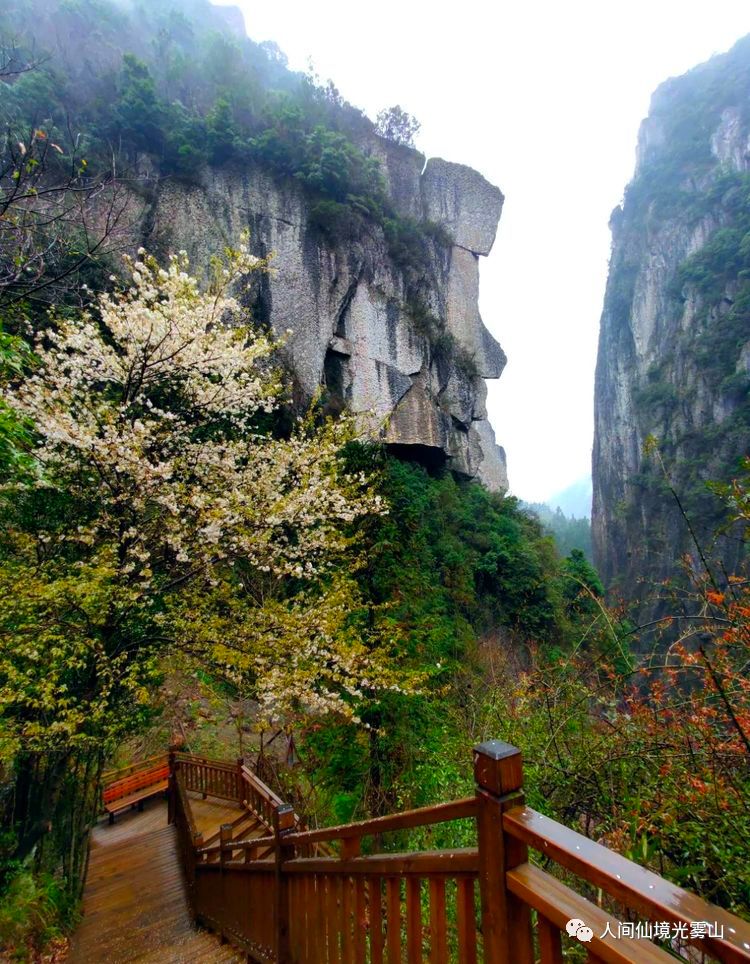 巴中人光雾山小巫峡景区有序恢复开放公告