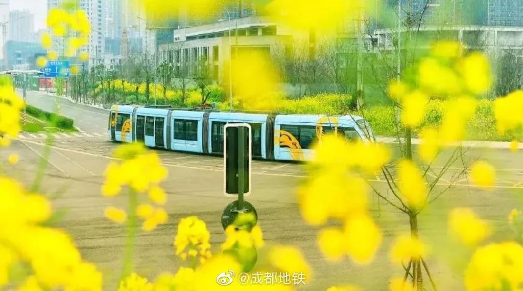 快上车,成都这趟开往春天的地铁