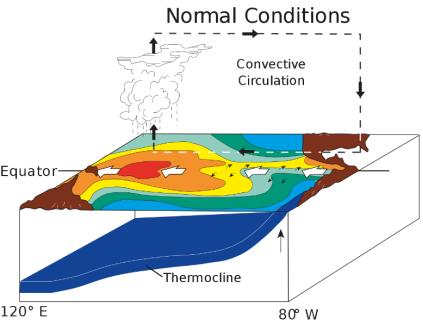 正常的太平洋格局:西部的暖池驱动深层大气对流.来源于维基百科