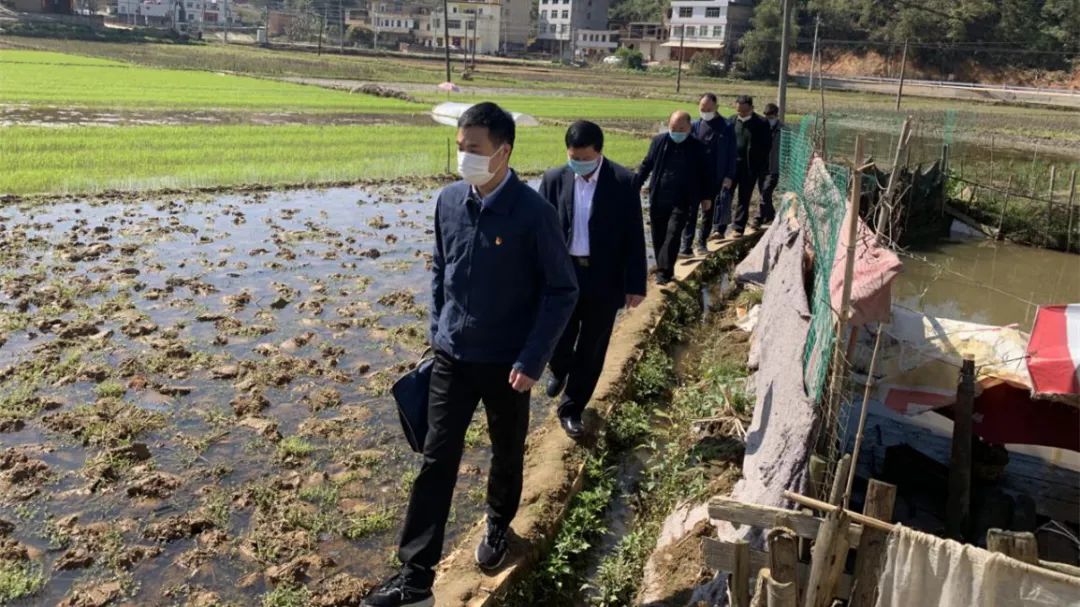 【支援队在基层】福建检察:在疫情防控和服务复工复产中勇于担当(最新发布)